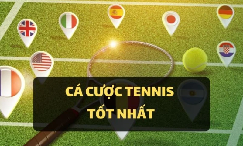 Những kiến thức liên quan đến trò chơi tennis dành cho người chơi